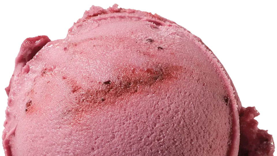Eiskugel Heidelbeer Sorbet